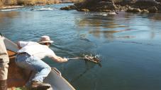 gal/Fishing 1/_thb_Large0003.jpg